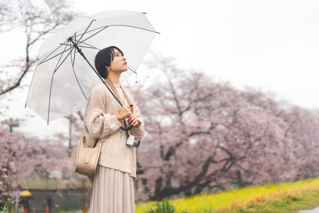 【伊豆】雨の日でも楽しめるおすすめ観光スポット15選！; 